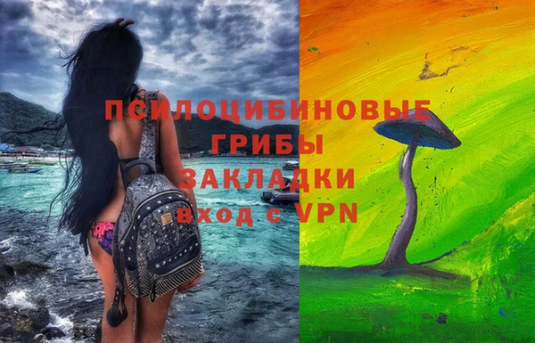 гидра Балахна